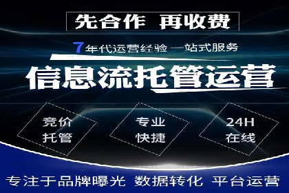 网络推广与竞价策略实战案例